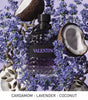 Valentino Uomo Born in Roma Purple Melancholia
