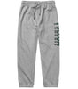 Volcom Men's Quadratic Fleece Pant