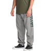 Volcom Men's Quadratic Fleece Pant