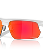 Bisphaera Sunglasses