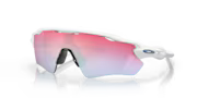 Radar EV Path Sunglasses