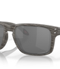 Holbrook Sunglasses